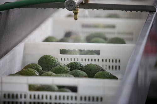 2023_MULTI_PURPOSE_BALM_V2_PERU_CAMPAIGN_PICTURES_FACTORY_18-min - Mustela Multi-market - 1