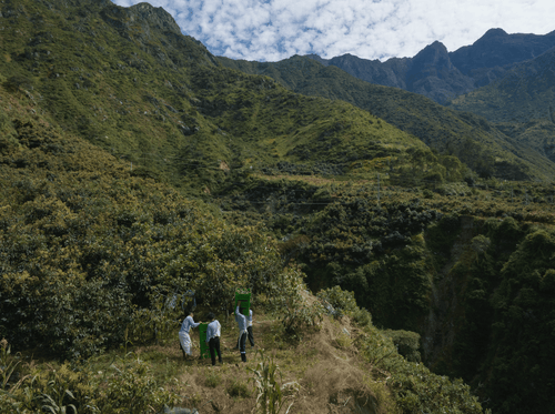 2023_MULTI_PURPOSE_BALM_V2_PERU_CAMPAIGN_PICTURES_HARVEST_47 - Mustela Multi-market - 1