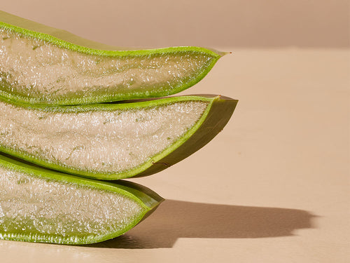 ALOE-VERA - Mustela Multi-market - 1