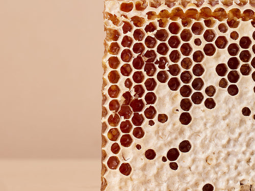 COLD_CREAM_1000X750_8059fcc9-b011-40f2-9a02-5823511c232d - Mustela Multi-market - 1