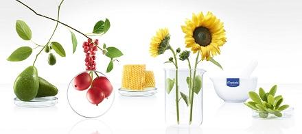 Mustela Multi-market - Mustela Multi-market - 1